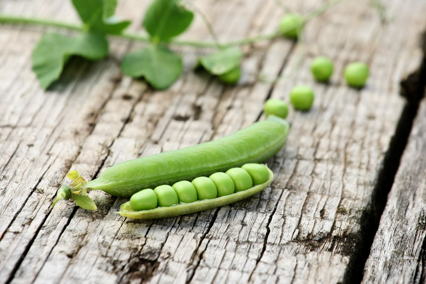 fresh pea pods wooden boards