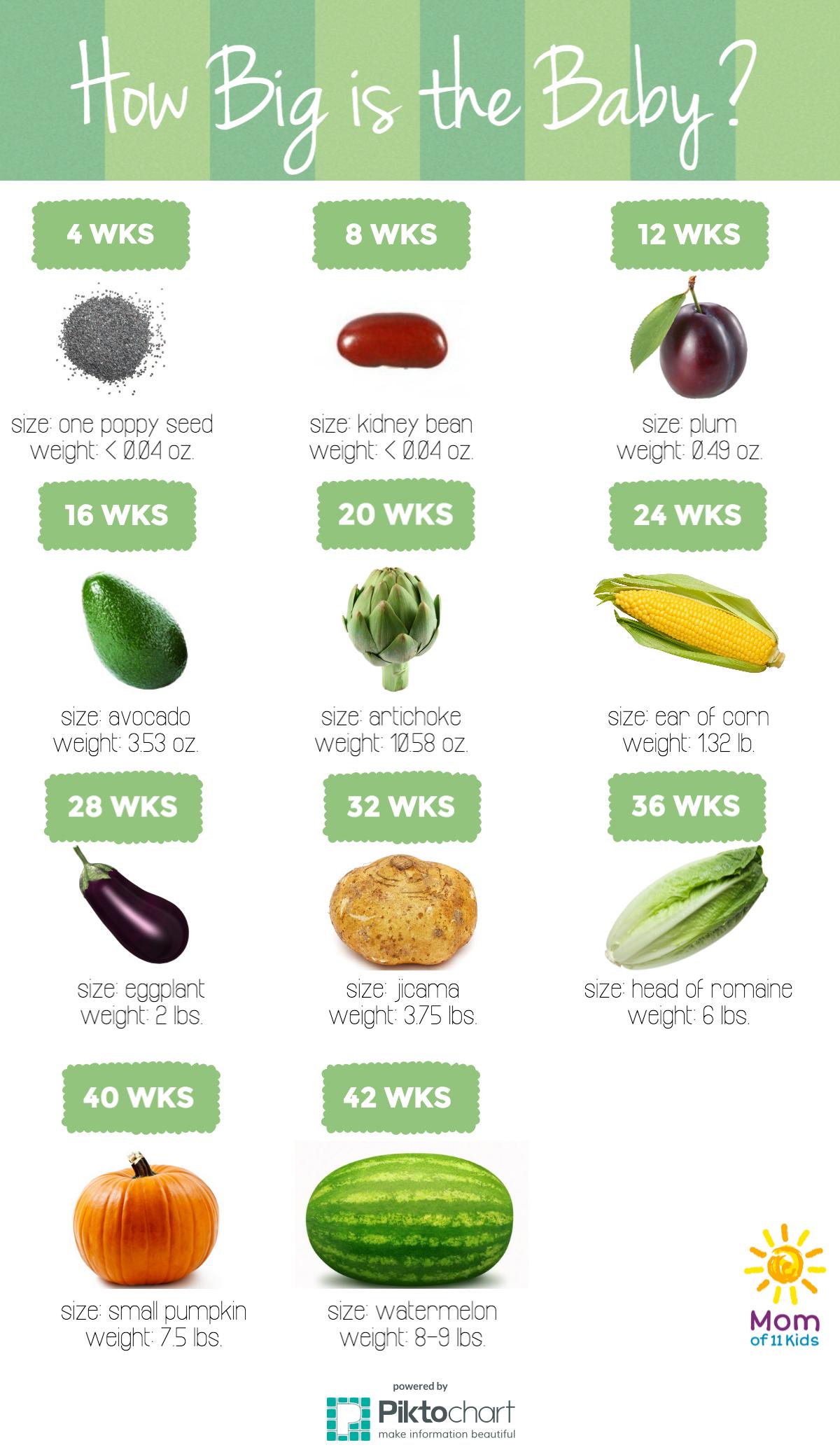 Baby By Month